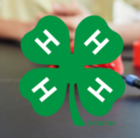 4 - H Maker Picture